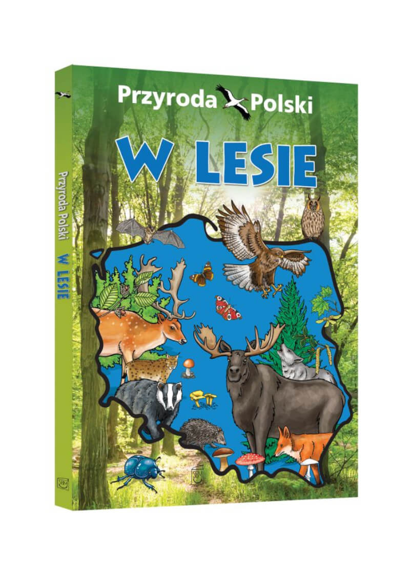 Przyroda Polski. W lesie